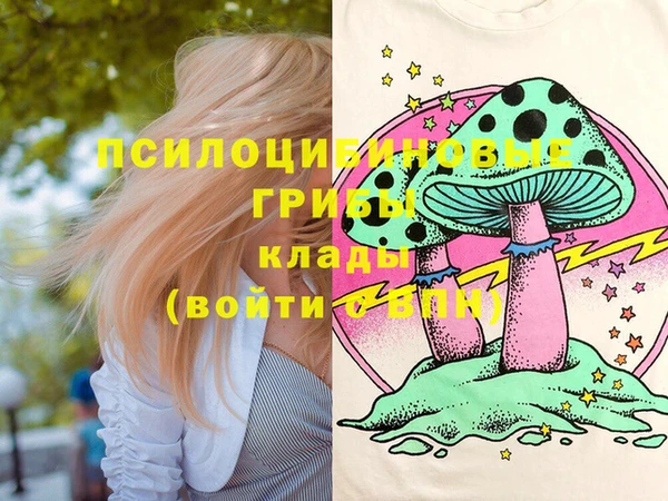 apvp Лиски