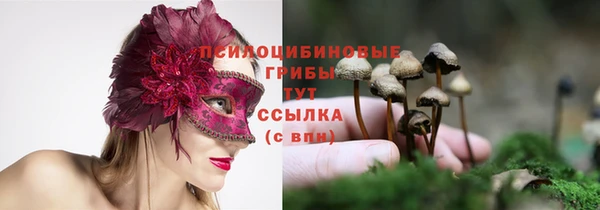 прущий лед Лихославль