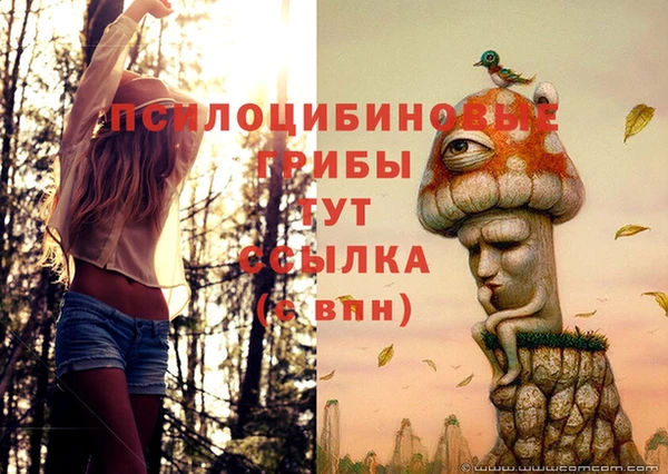 прущий лед Лихославль