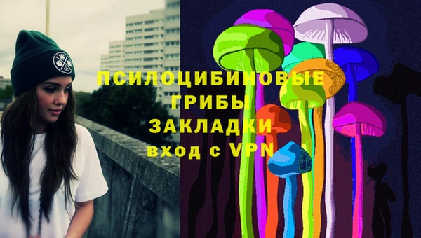 apvp Лиски