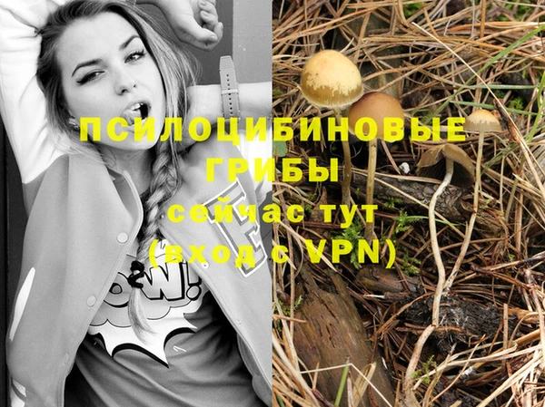 тгк Липки