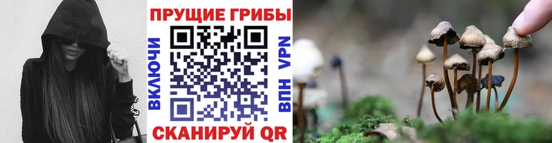 Псилоцибиновые грибы мицелий Ильский